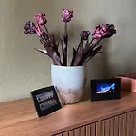 Havelzeit Apartment