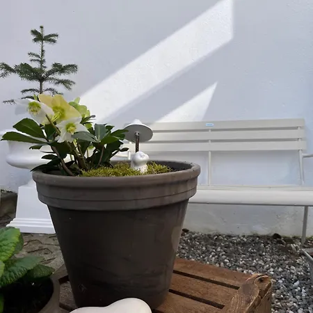 Havelzeit * Havelberg